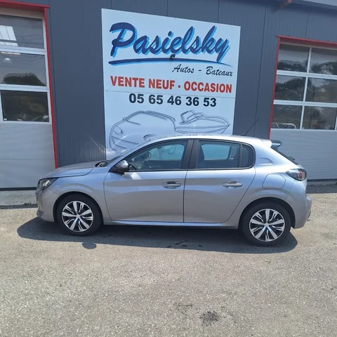 Peugeot 208 1.5 Blue HDI 100cv Active Business