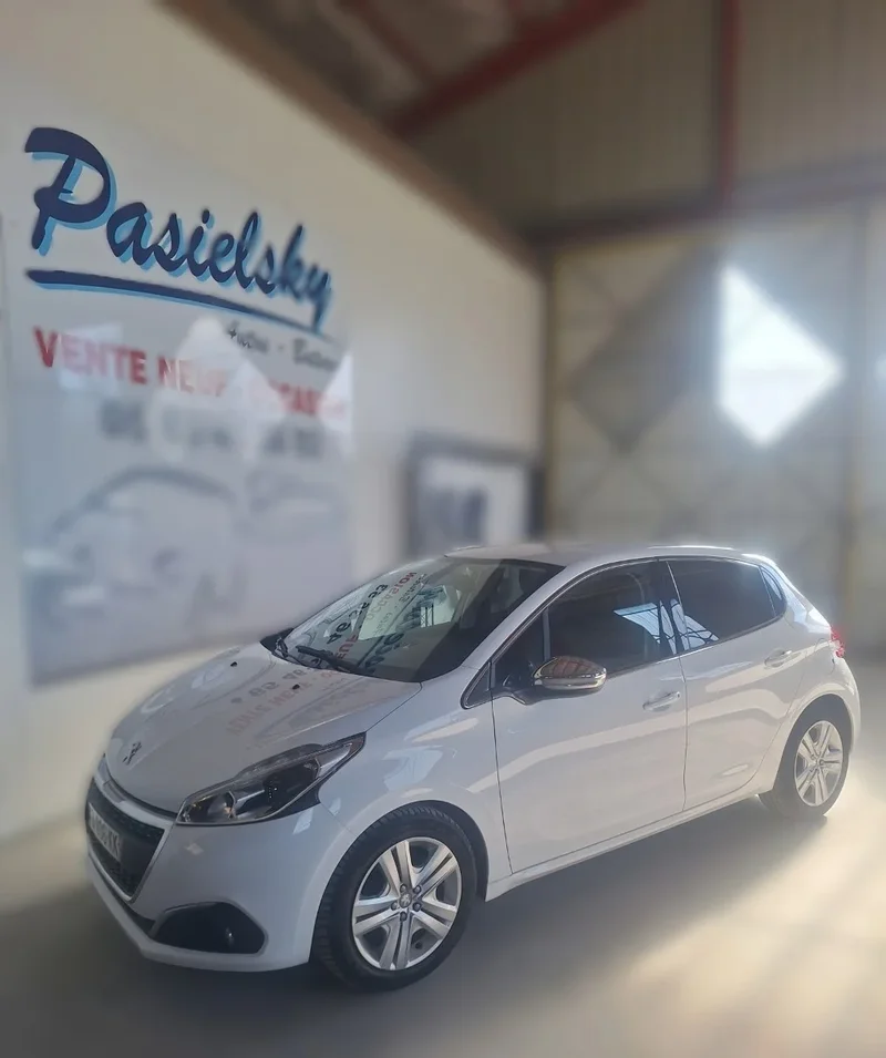 Peugeot 208 Blue HDI 100 cv Allure Business